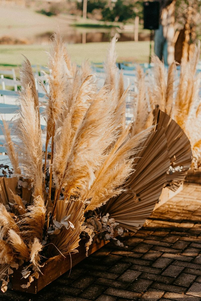 pampas grass aisle markers