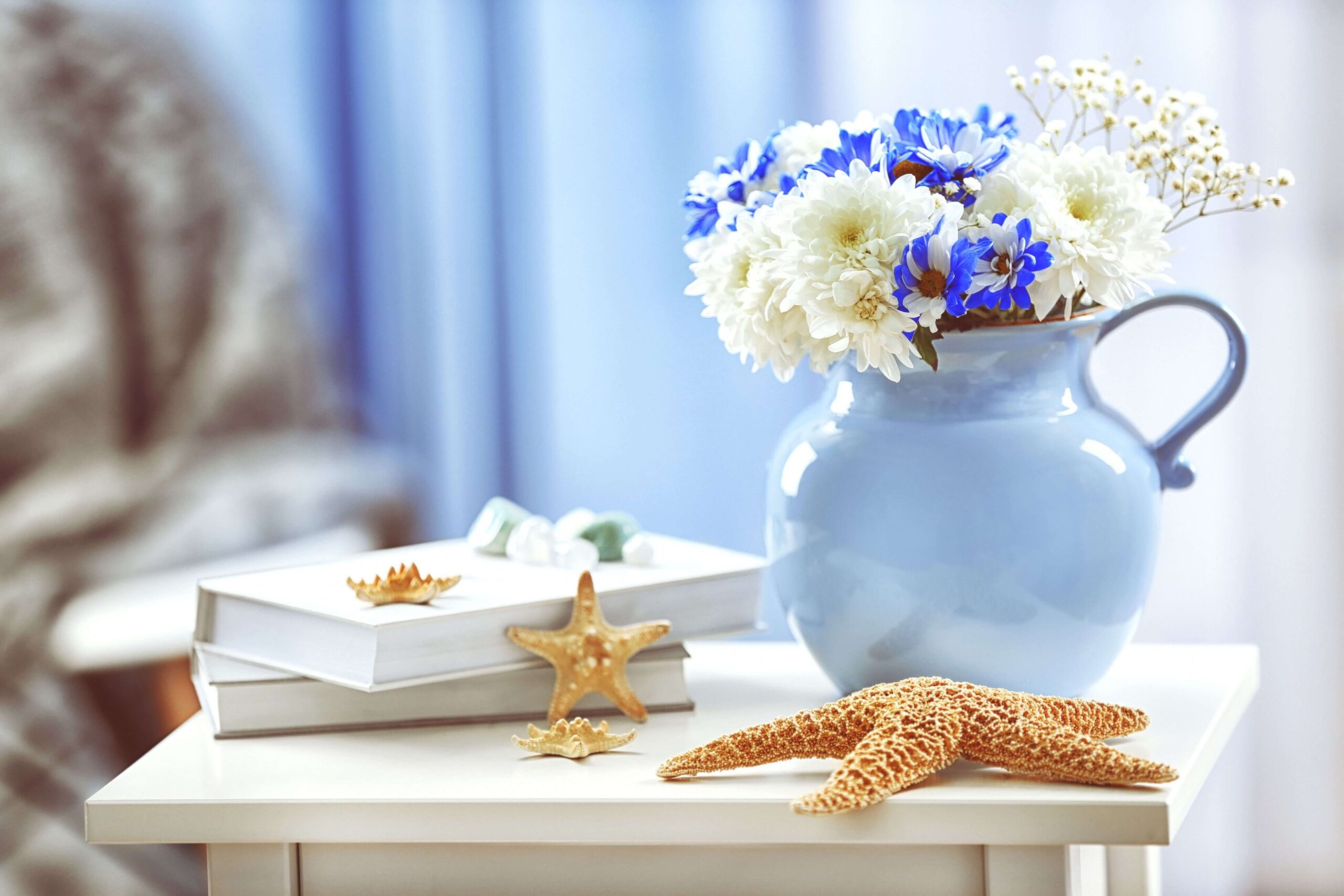 seashell decor