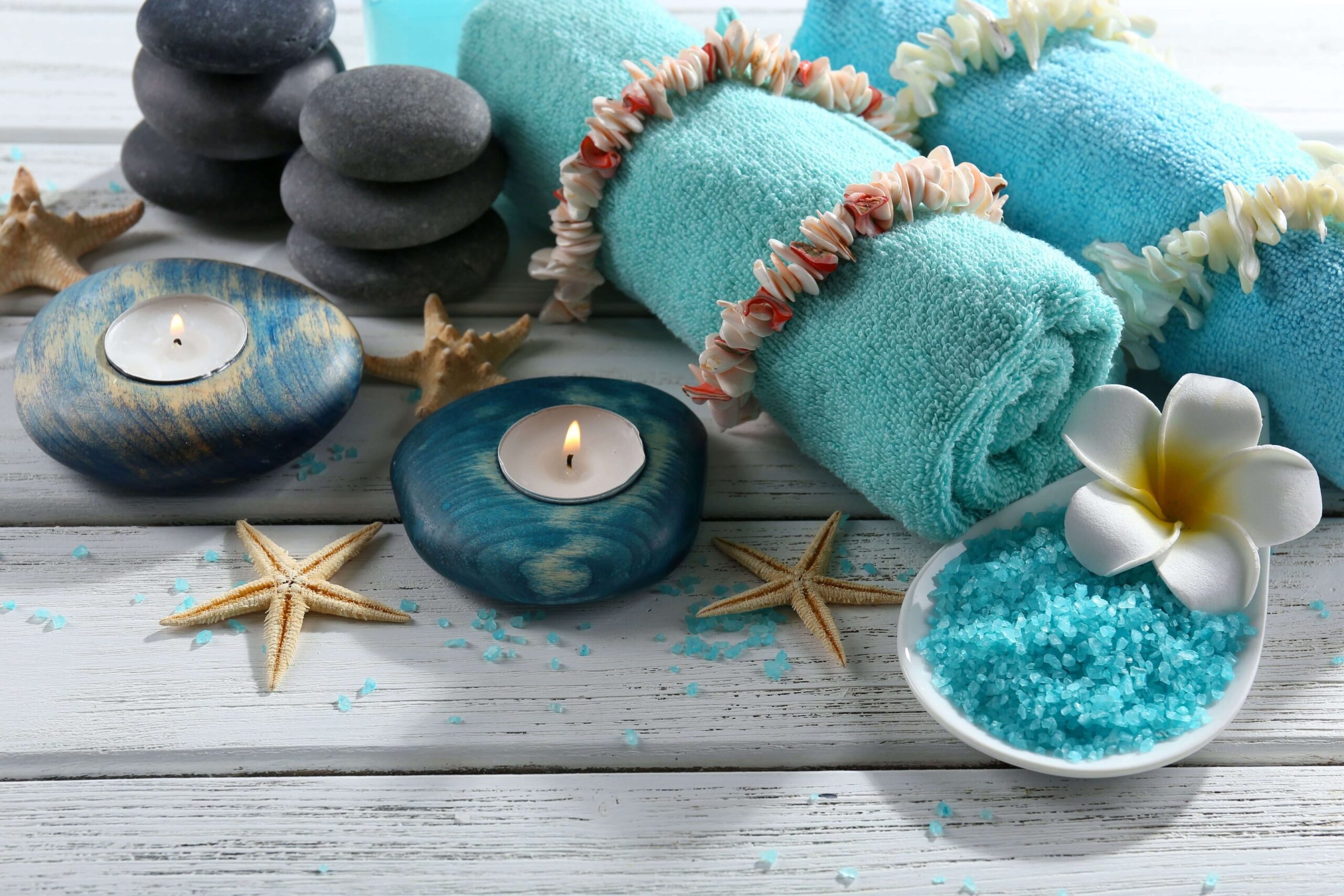 seashell decor