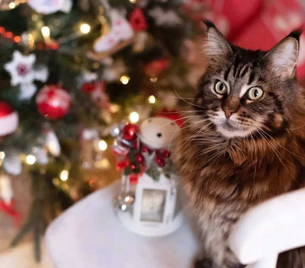 cat-friendly-christmas-tree