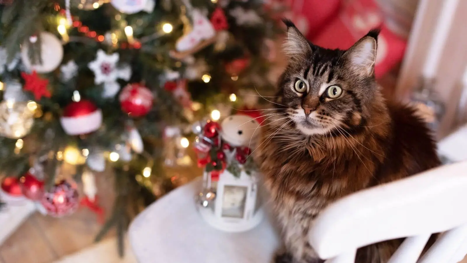 cat-friendly-christmas-tree
