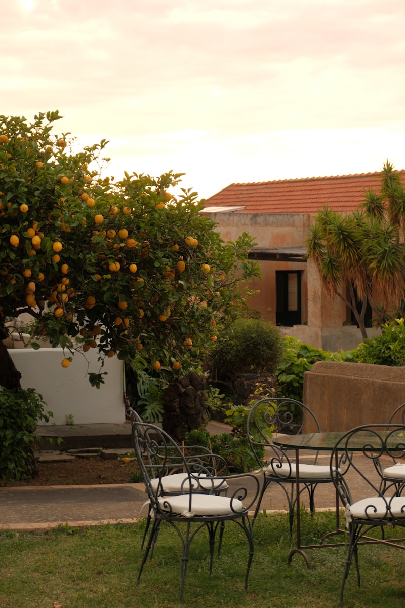 Citrus fruits outdoor Mediterranean arrangement - patio decor